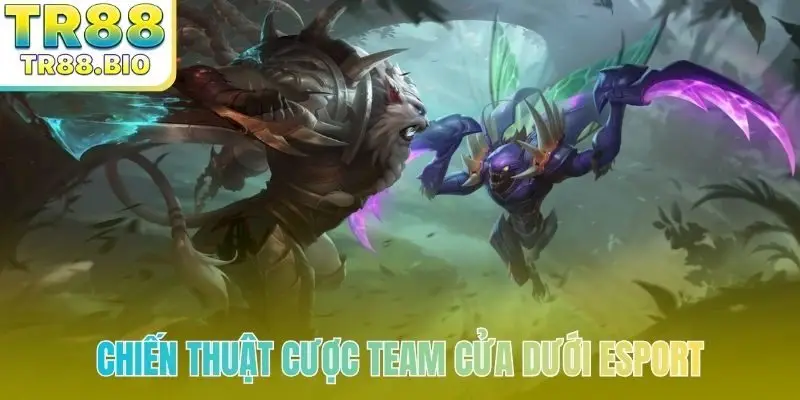 chiến thuật cược team cửa dưới esport